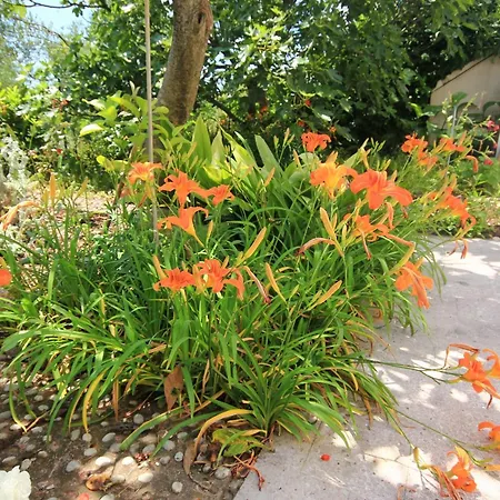 By The Sea Orebic, Peljesac - 4562 Appartement *