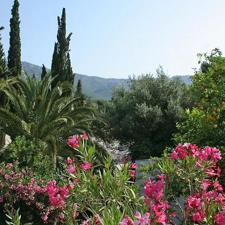 Apartment Apartments By The Sea Orebic, Peljesac - 4562 Orebic