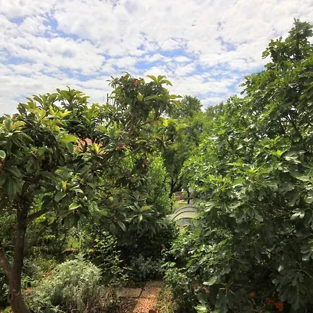 By The Sea Orebic, Peljesac - 4562 *