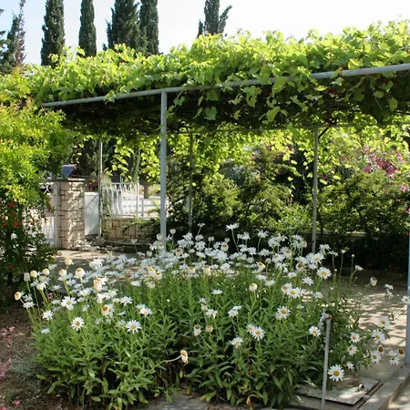 Apartments By The Sea Orebic, Peljesac - 4562