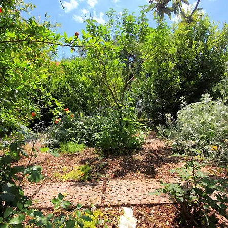 Διαμέρισμα Apartments By The Sea Orebic, Peljesac - 4562 *